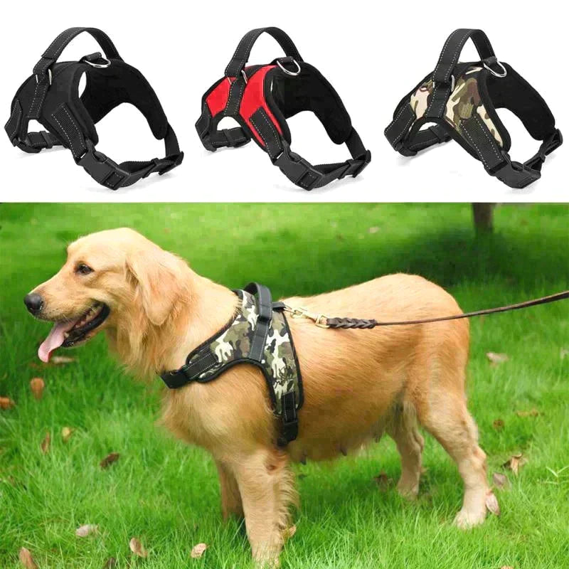 Adjustable Dog Harness Petritzy 